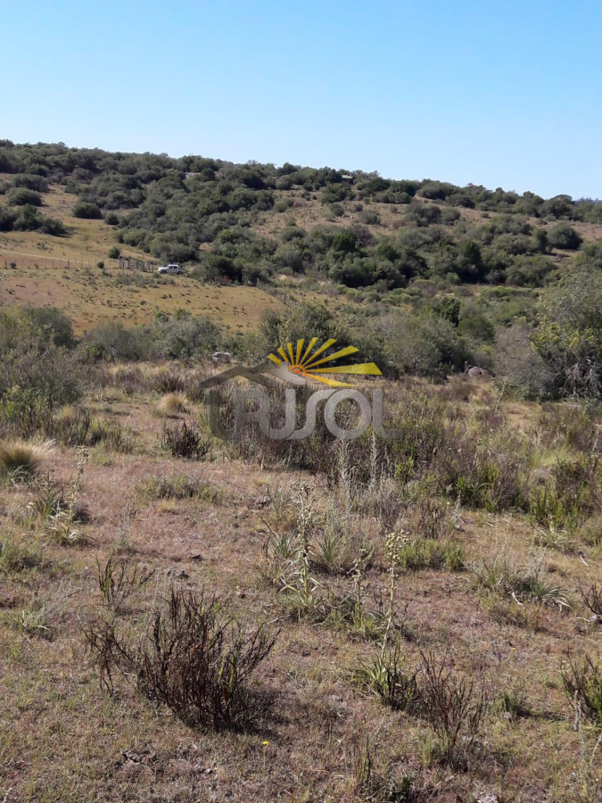 Campo Ref.100 - Excelente campo en venta Rut 109 
