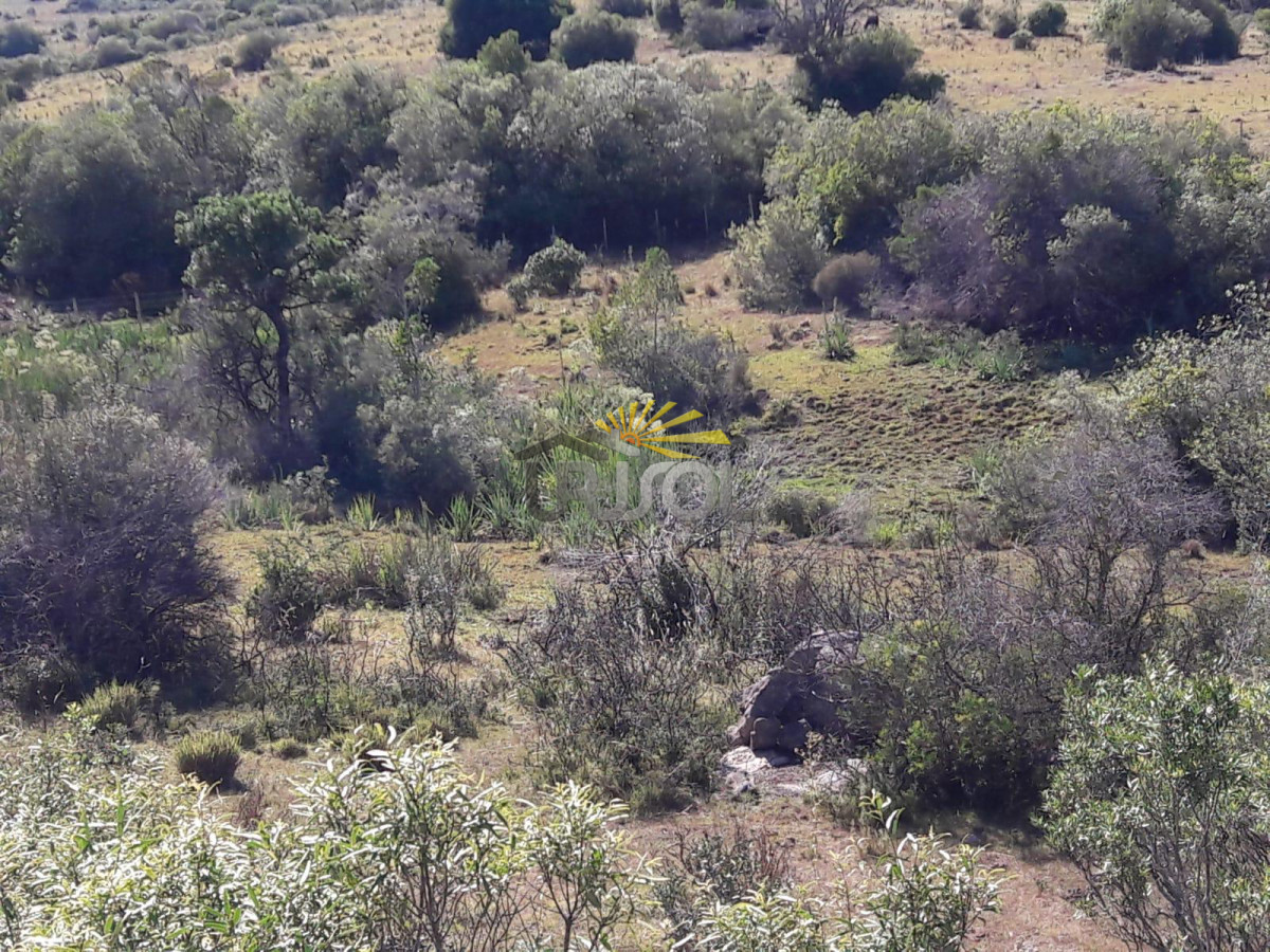 Campo Ref.100 - Excelente campo en venta Rut 109 