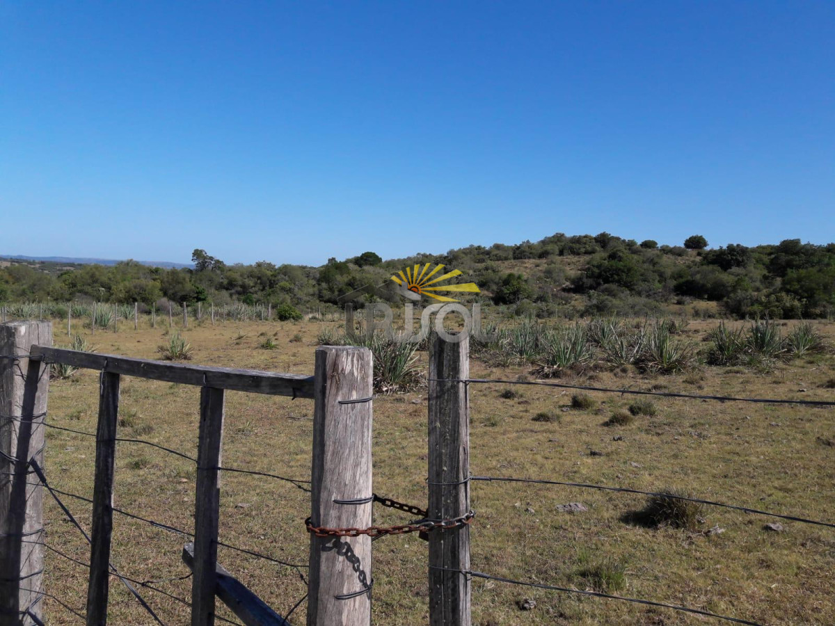 Campo Ref.100 - Excelente campo en venta Rut 109 