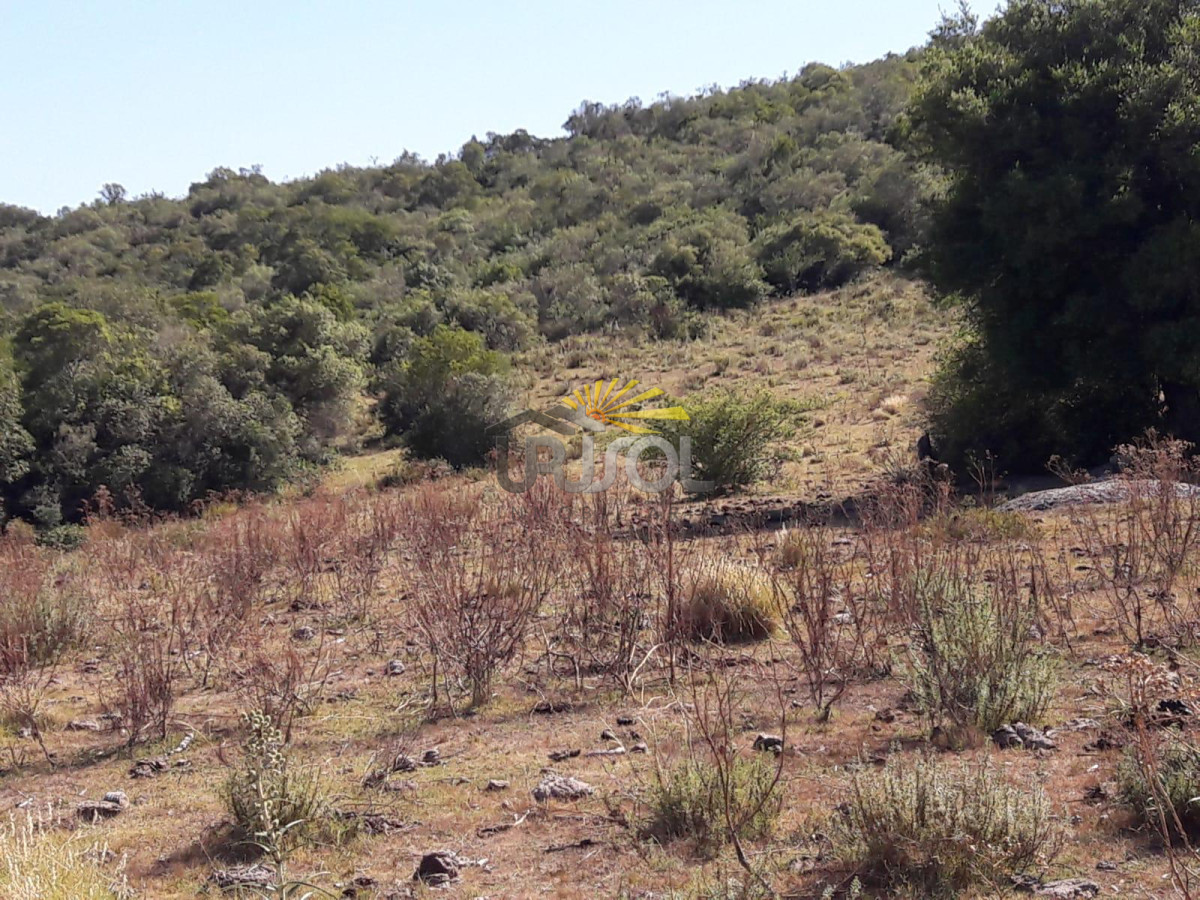 Campo Ref.100 - Excelente campo en venta Rut 109 