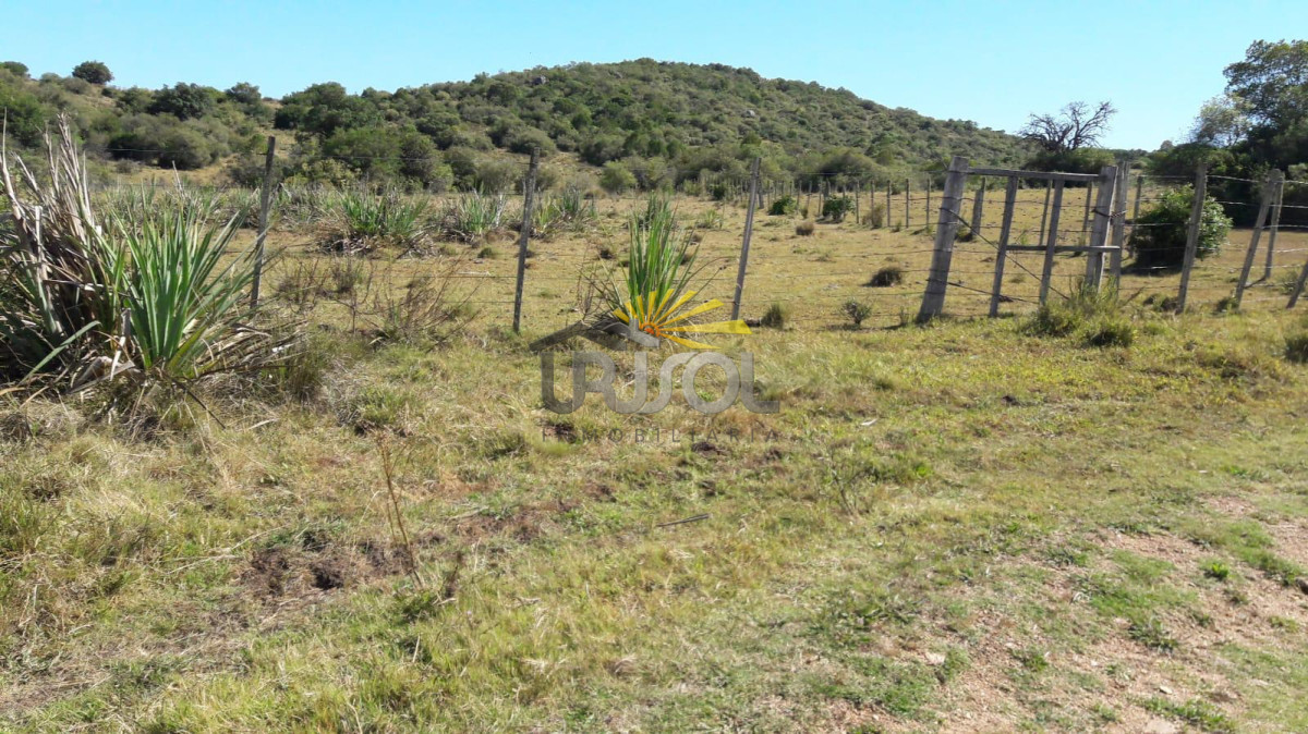 Campo Ref.100 - Excelente campo en venta Rut 109 