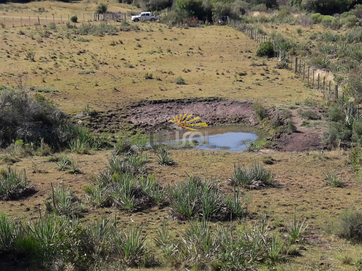 Campo Ref.100 - Excelente campo en venta Rut 109 