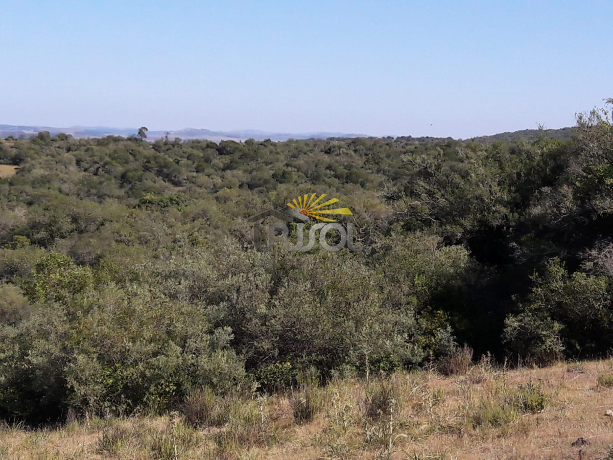 Campo Ref.100 - Excelente campo en venta Rut 109 