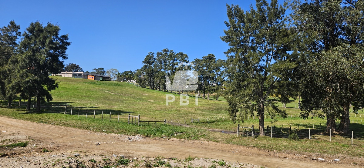 Golf - GoPunta - Portal Inmobiliario de Punta del Este - Maldonado