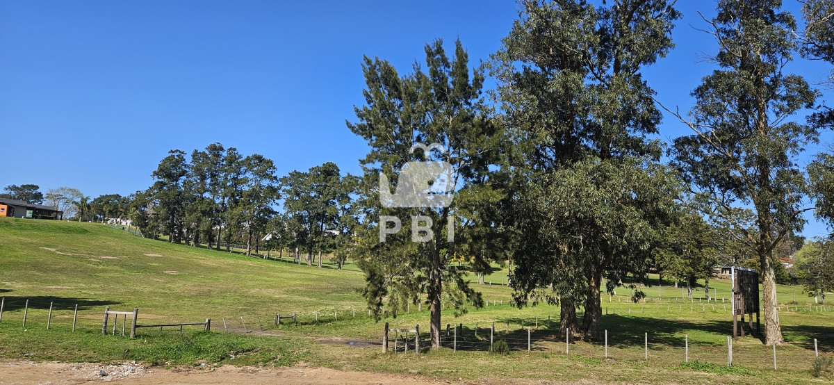 Golf - GoPunta - Portal Inmobiliario de Punta del Este - Maldonado