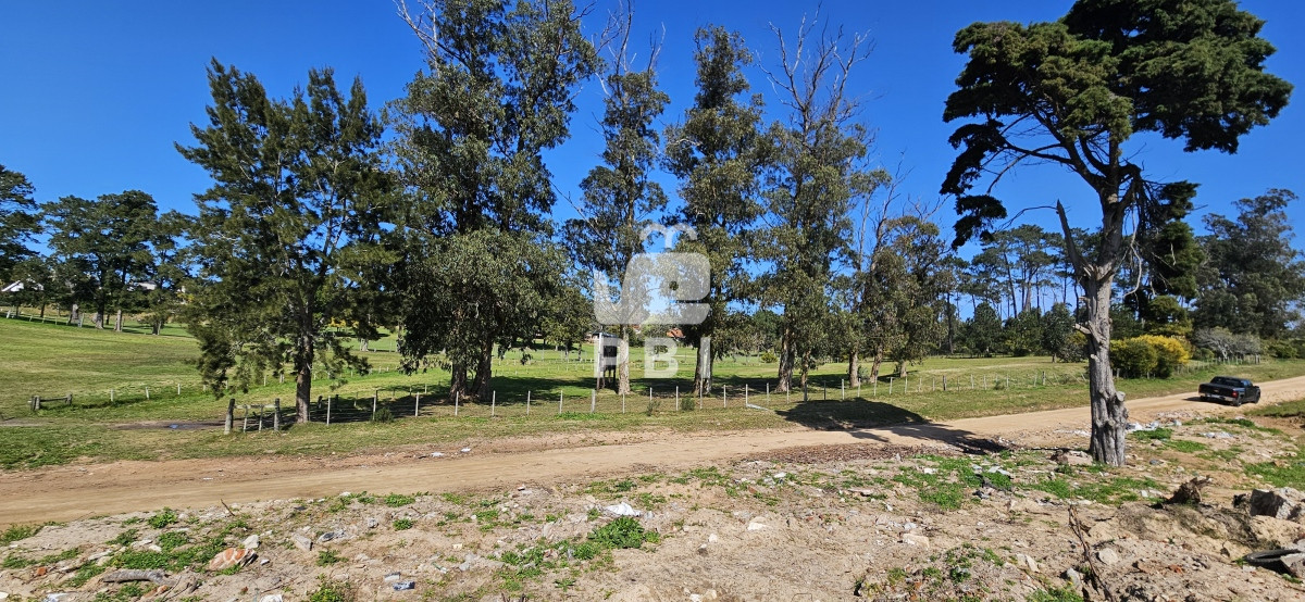 Golf - GoPunta - Portal Inmobiliario de Punta del Este - Maldonado