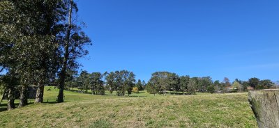 6 padrones en venta frente a Club de Golf de Punta del Este