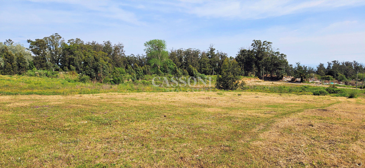 Terreno ID.3465 - Venta de Terreno de 1368 m2 frente al Club de Golf de Punta del Este.