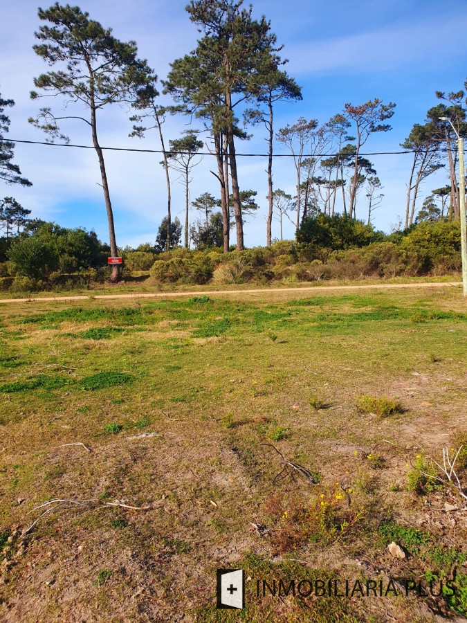 Terreno ID.921 - Terreno en venta de 1443 m2 frente al Club de Golf de Punta del Este Maldonado