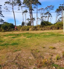 Terreno en venta de 1443 m2 frente al Club de Golf de Punta del Este Maldonado