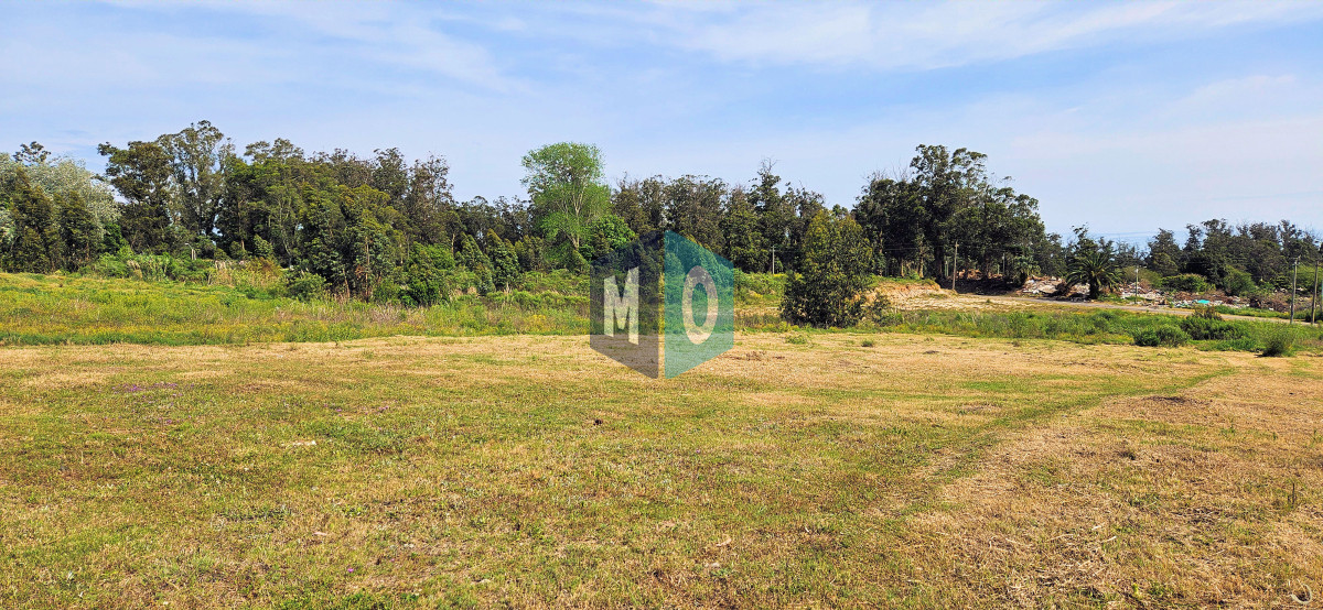 Terreno ID.648 - Venta de Terreno de 1368 m2 frente al Club de Golf de Punta del Este.