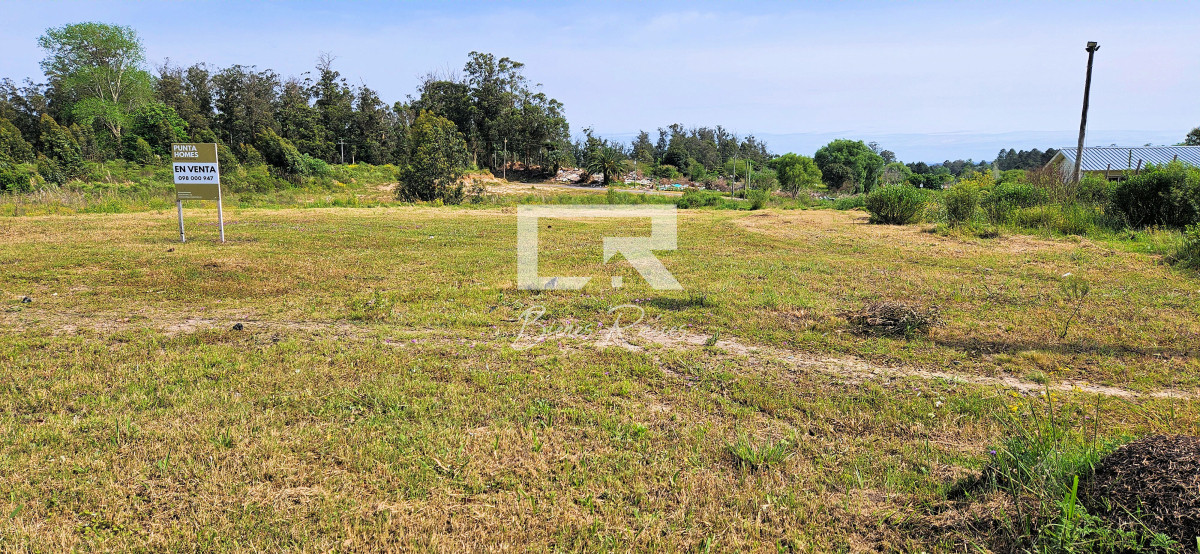Terreno ID.817 - Venta de Terreno de 1368 m2 frente al Club de Golf de Punta del Este.