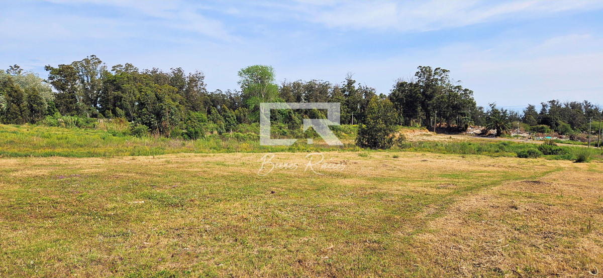 Terreno ID.817 - Venta de Terreno de 1368 m2 frente al Club de Golf de Punta del Este.