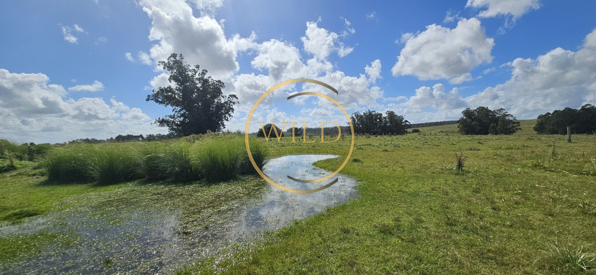 Chacra ID.2288 - Venta de chacra de 9 hs en José Ignacio, Punta del Este.
