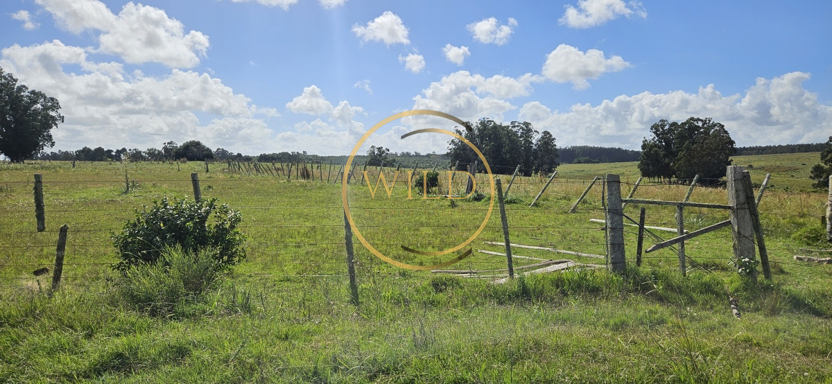 Chacra ID.2288 - Venta de chacra de 9 hs en José Ignacio, Punta del Este.