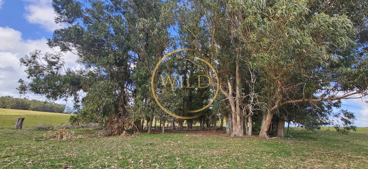 Chacra ID.2288 - Venta de chacra de 9 hs en José Ignacio, Punta del Este.
