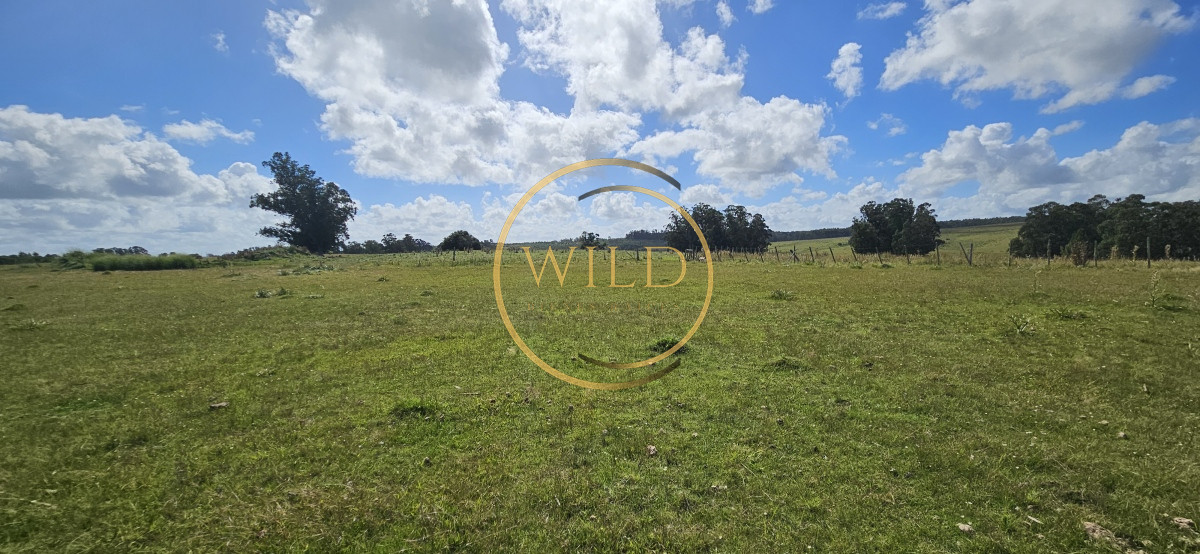 Chacra ID.2288 - Venta de chacra de 9 hs en José Ignacio, Punta del Este.