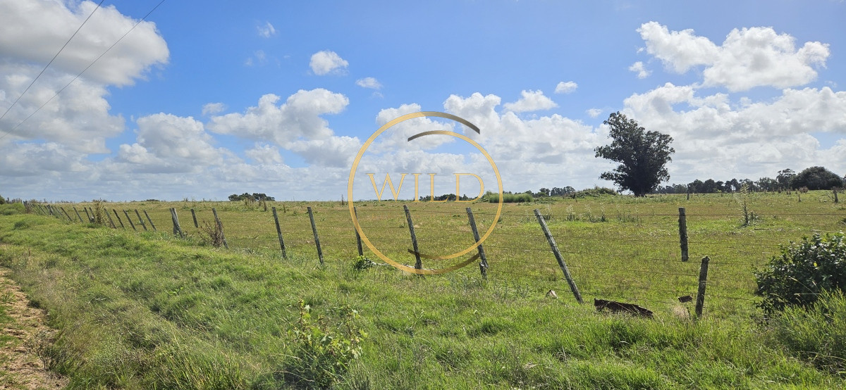 Chacra ID.2288 - Venta de chacra de 9 hs en José Ignacio, Punta del Este.