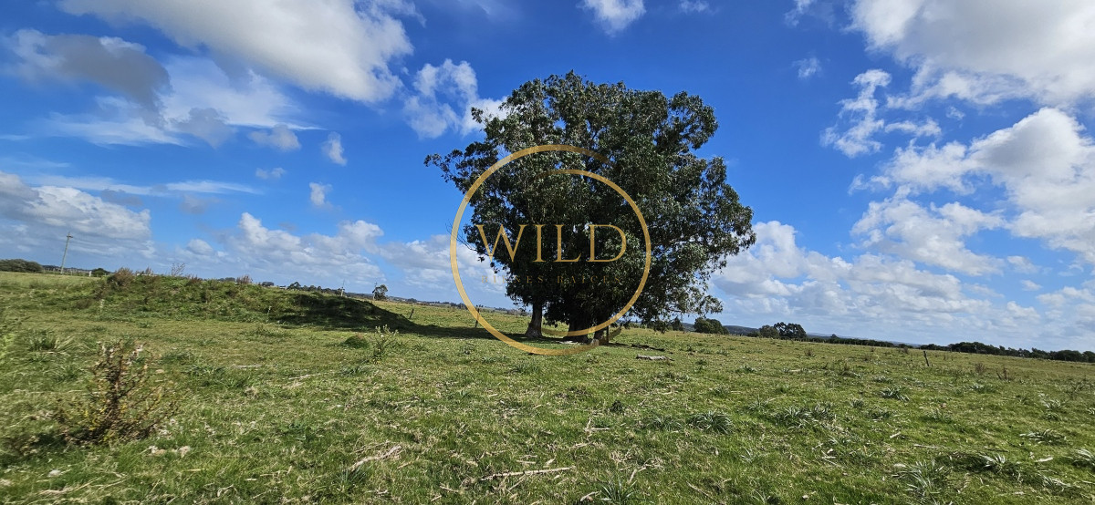 Chacra ID.2288 - Venta de chacra de 9 hs en José Ignacio, Punta del Este.