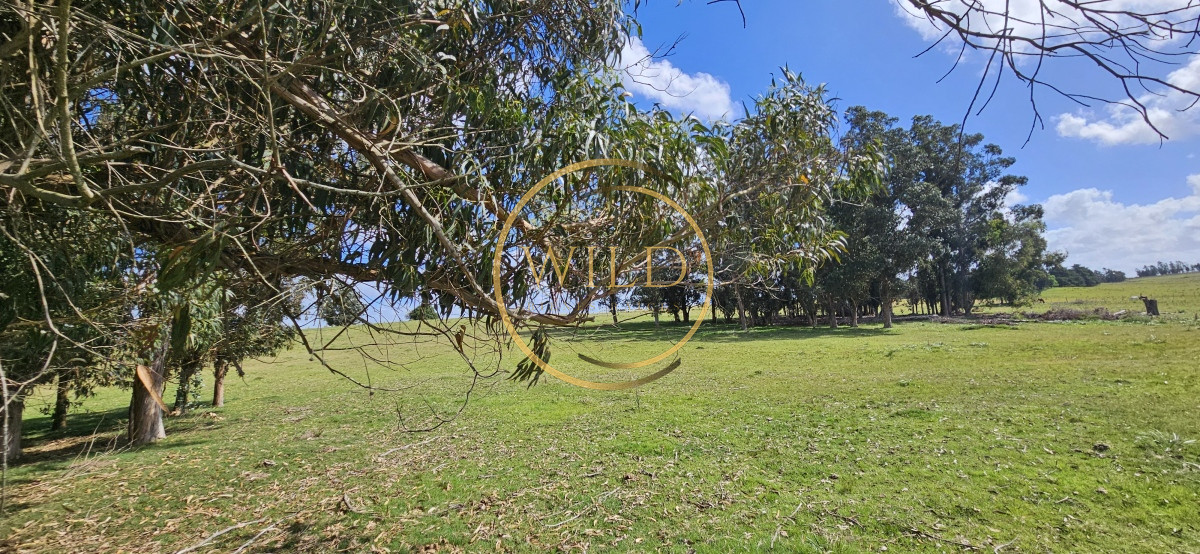 Chacra ID.2288 - Venta de chacra de 9 hs en José Ignacio, Punta del Este.