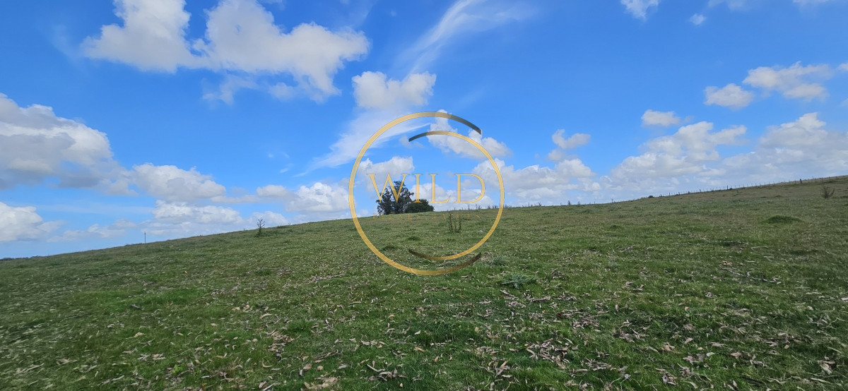 Chacra ID.2288 - Venta de chacra de 9 hs en José Ignacio, Punta del Este.