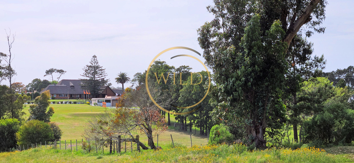 Terreno ID.2175 - Venta de Terreno de 1368 m2 frente al Club de Golf de Punta del Este.