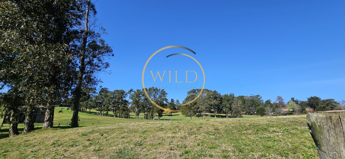 Terreno ID.2175 - Venta de Terreno de 1368 m2 frente al Club de Golf de Punta del Este.