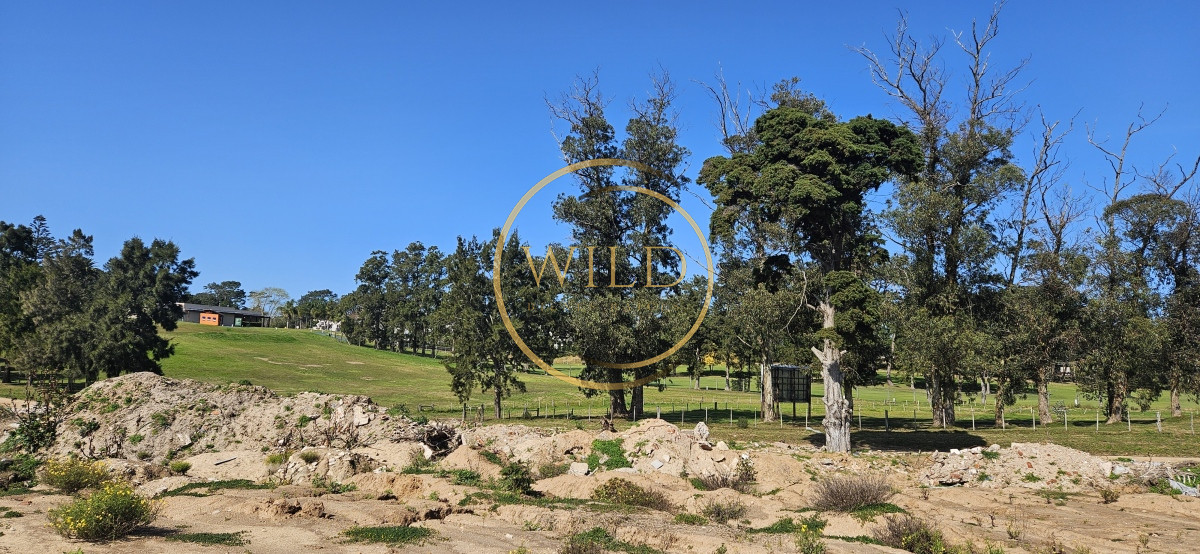Terreno ID.2140 - Terrenos en venta frente a Club de Golf de Punta del Este