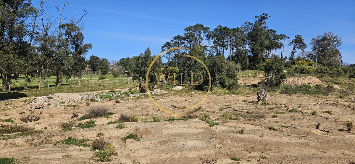 Terreno ID.2140 - Terrenos en venta frente a Club de Golf de Punta del Este