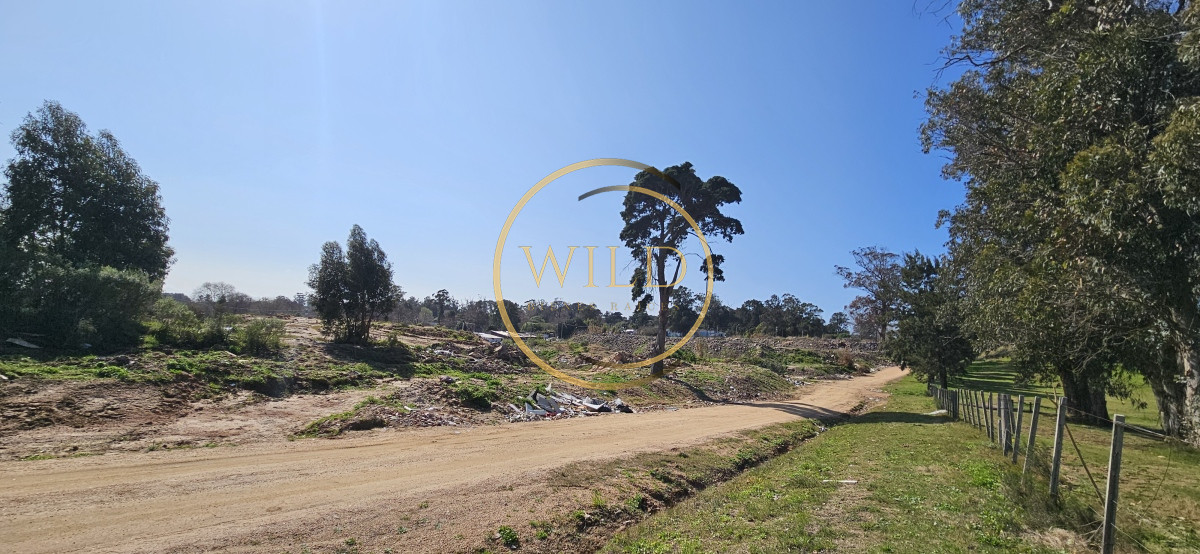 Terreno ID.2140 - Terrenos en venta frente a Club de Golf de Punta del Este