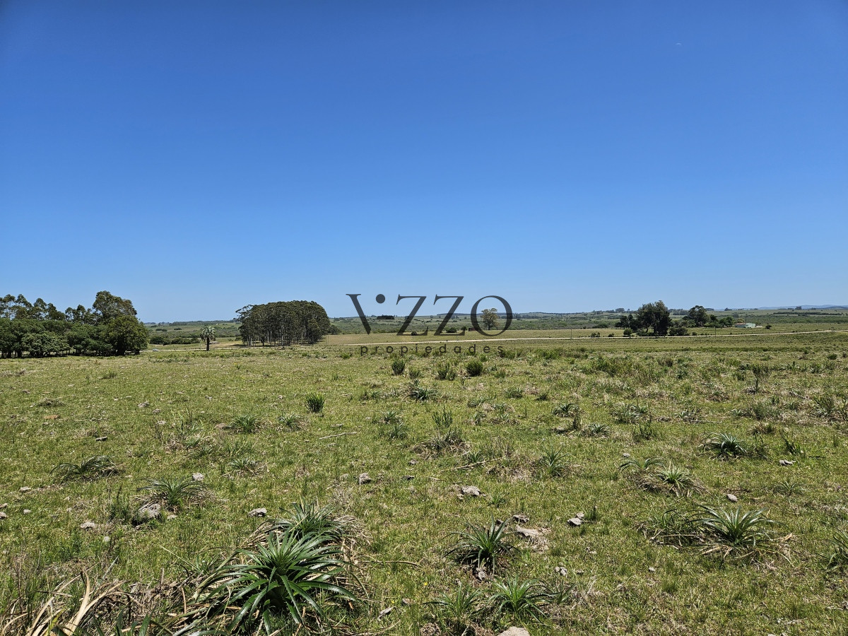Chacra ID.641/Venta-de-13-hectáreas-a-10-minutos-del-Faro-de-José-Ignacio,-Punta-del-Este.- - Venta de 13 hectáreas a 10 minutos del Faro de José Ignacio, Punta del Este. 