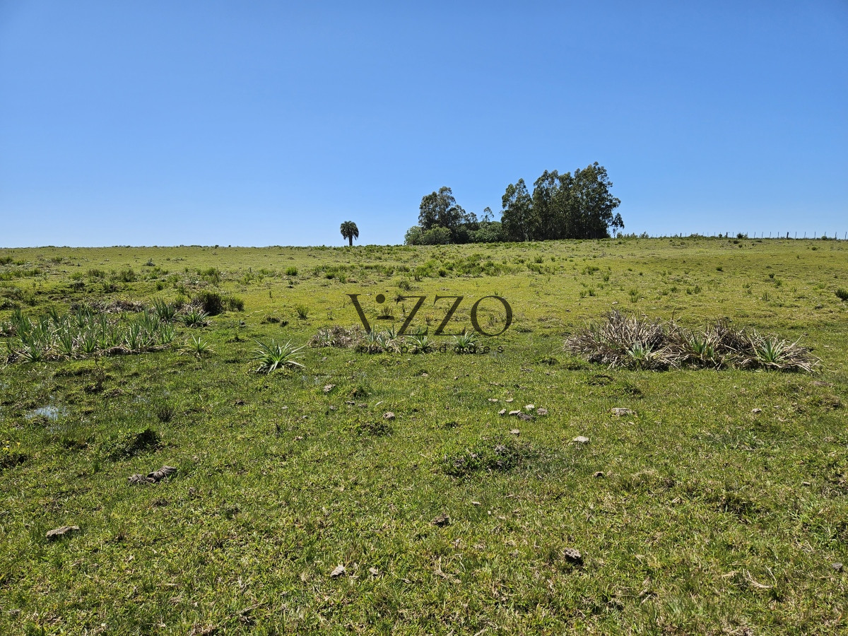 Chacra ID.641/Venta-de-13-hectáreas-a-10-minutos-del-Faro-de-José-Ignacio,-Punta-del-Este.- - Venta de 13 hectáreas a 10 minutos del Faro de José Ignacio, Punta del Este. 