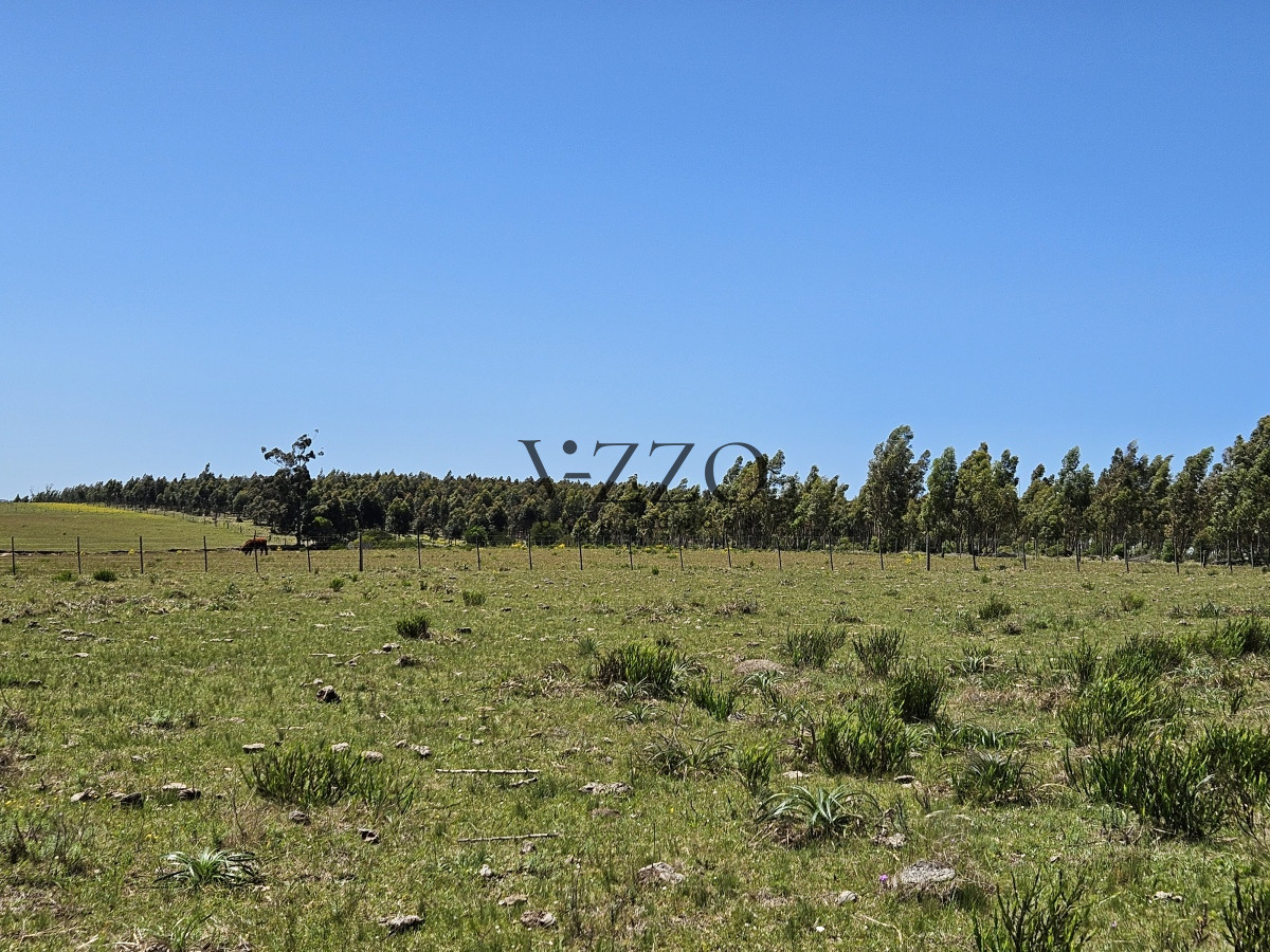 Chacra ID.641/Venta-de-13-hectáreas-a-10-minutos-del-Faro-de-José-Ignacio,-Punta-del-Este.- - Venta de 13 hectáreas a 10 minutos del Faro de José Ignacio, Punta del Este. 