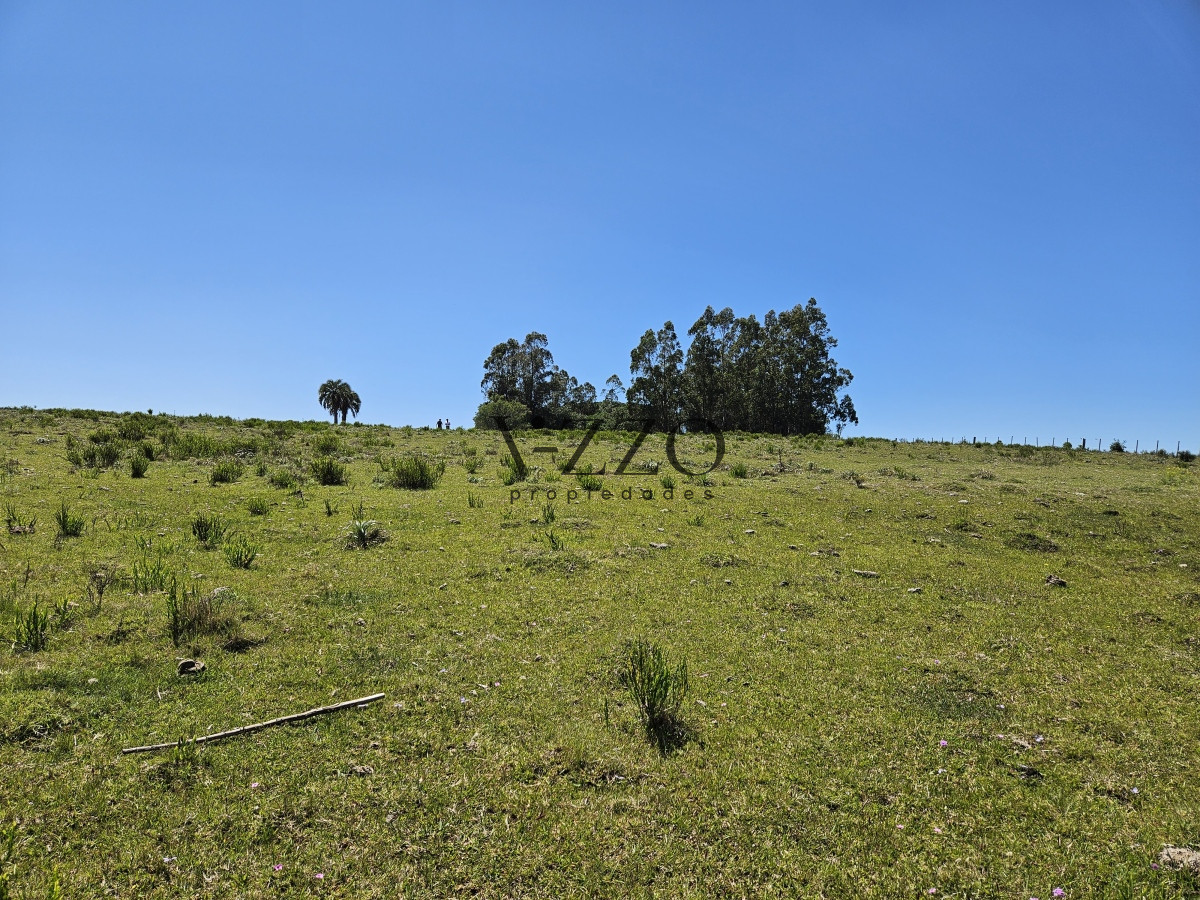 Chacra ID.641/Venta-de-13-hectáreas-a-10-minutos-del-Faro-de-José-Ignacio,-Punta-del-Este.- - Venta de 13 hectáreas a 10 minutos del Faro de José Ignacio, Punta del Este. 