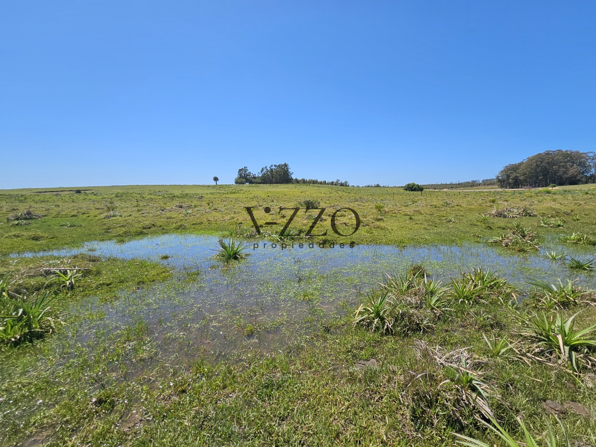Chacra ID.641/Venta-de-13-hectáreas-a-10-minutos-del-Faro-de-José-Ignacio,-Punta-del-Este.- - Venta de 13 hectáreas a 10 minutos del Faro de José Ignacio, Punta del Este. 
