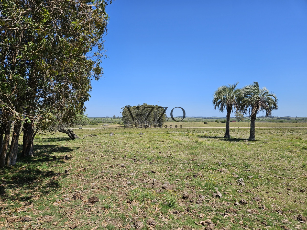 Chacra ID.641/Venta-de-13-hectáreas-a-10-minutos-del-Faro-de-José-Ignacio,-Punta-del-Este.- - Venta de 13 hectáreas a 10 minutos del Faro de José Ignacio, Punta del Este. 