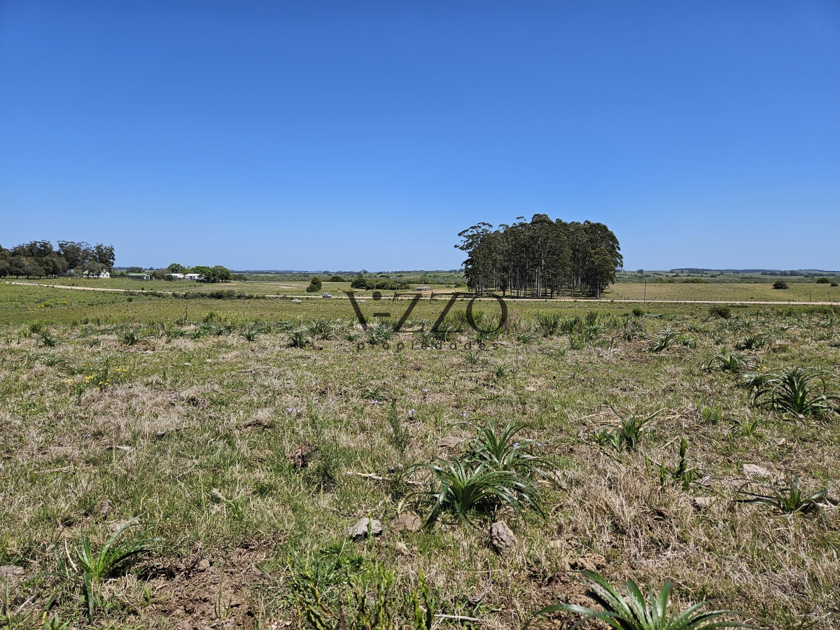 Chacra ID.641/Venta-de-13-hectáreas-a-10-minutos-del-Faro-de-José-Ignacio,-Punta-del-Este.- - Venta de 13 hectáreas a 10 minutos del Faro de José Ignacio, Punta del Este. 