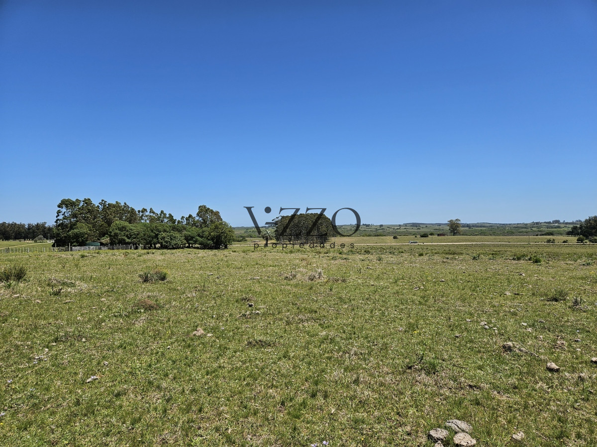 Chacra ID.641/Venta-de-13-hectáreas-a-10-minutos-del-Faro-de-José-Ignacio,-Punta-del-Este.- - Venta de 13 hectáreas a 10 minutos del Faro de José Ignacio, Punta del Este. 