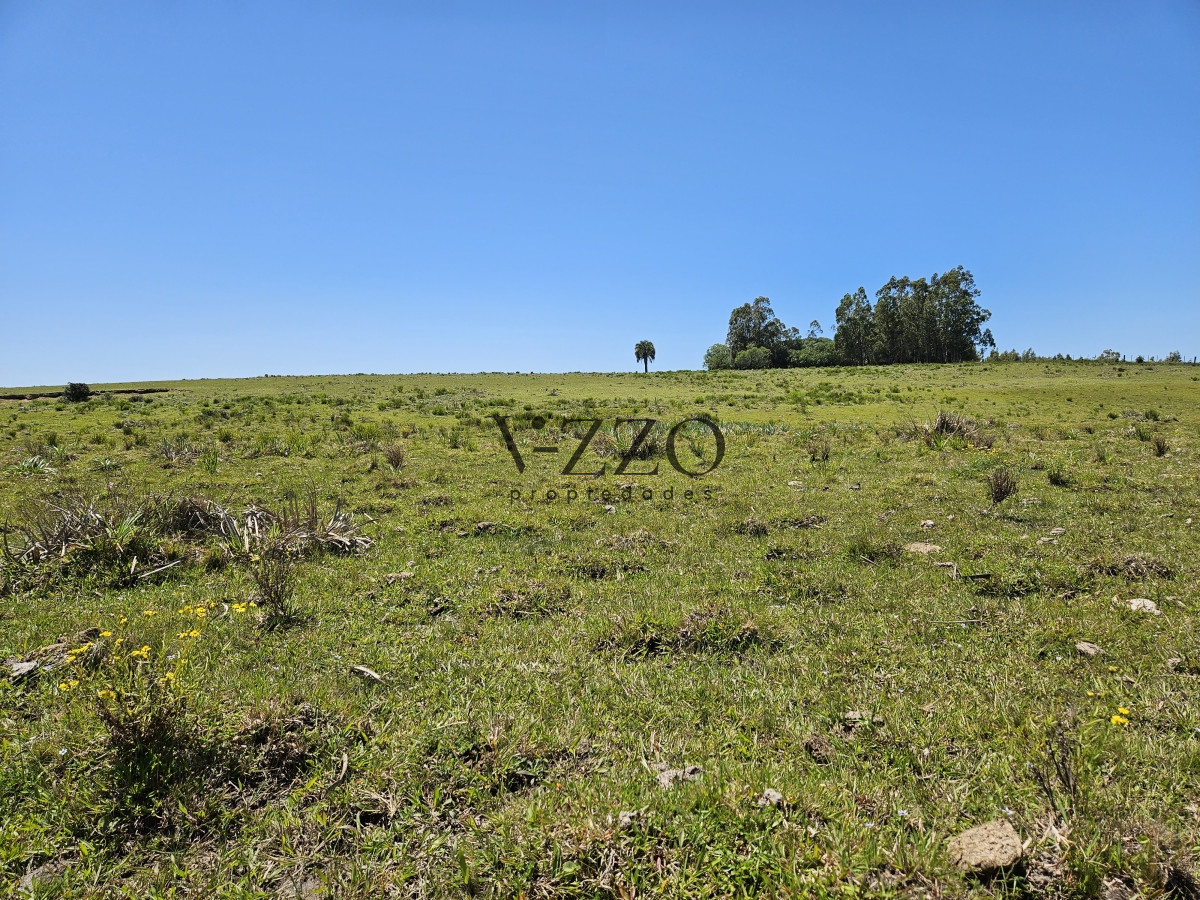 Chacra ID.641/Venta-de-13-hectáreas-a-10-minutos-del-Faro-de-José-Ignacio,-Punta-del-Este.- - Venta de 13 hectáreas a 10 minutos del Faro de José Ignacio, Punta del Este. 