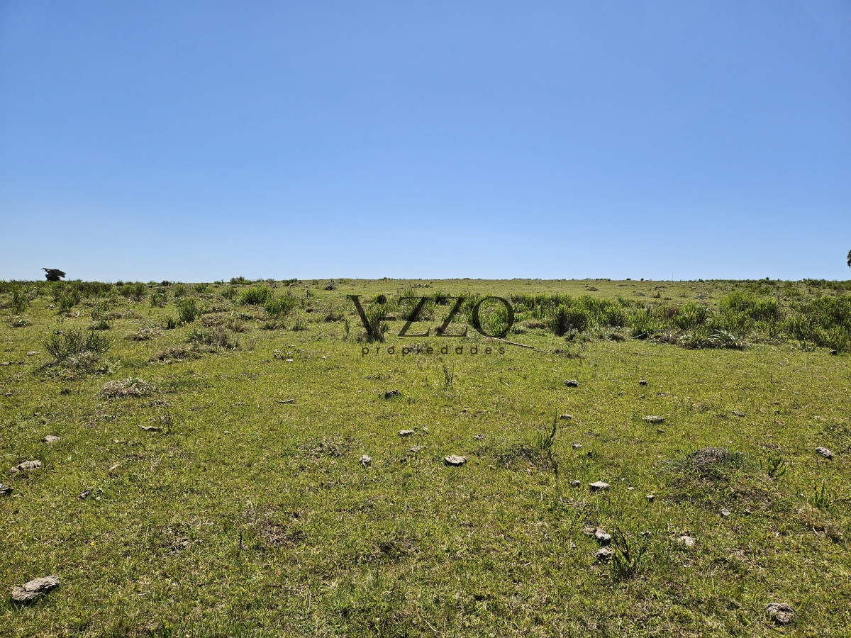 Chacra ID.641/Venta-de-13-hectáreas-a-10-minutos-del-Faro-de-José-Ignacio,-Punta-del-Este.- - Venta de 13 hectáreas a 10 minutos del Faro de José Ignacio, Punta del Este. 