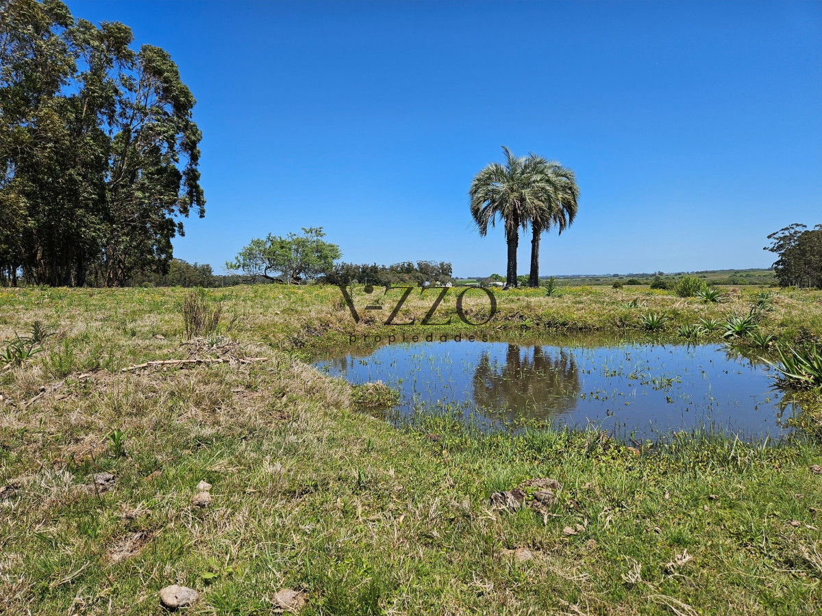 Chacra ID.641/Venta-de-13-hectáreas-a-10-minutos-del-Faro-de-José-Ignacio,-Punta-del-Este.- - Venta de 13 hectáreas a 10 minutos del Faro de José Ignacio, Punta del Este. 