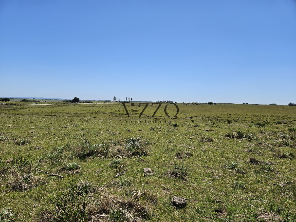 Chacra ID.641/Venta-de-13-hectáreas-a-10-minutos-del-Faro-de-José-Ignacio,-Punta-del-Este.- - Venta de 13 hectáreas a 10 minutos del Faro de José Ignacio, Punta del Este. 