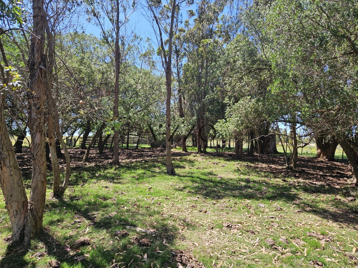 Chacra ID.641/Venta-de-13-hectáreas-a-10-minutos-del-Faro-de-José-Ignacio,-Punta-del-Este.- - Venta de 13 hectáreas a 10 minutos del Faro de José Ignacio, Punta del Este. 