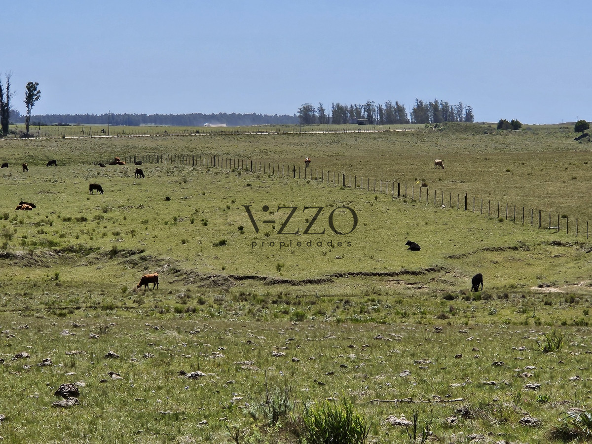 Chacra ID.641/Venta-de-13-hectáreas-a-10-minutos-del-Faro-de-José-Ignacio,-Punta-del-Este.- - Venta de 13 hectáreas a 10 minutos del Faro de José Ignacio, Punta del Este. 