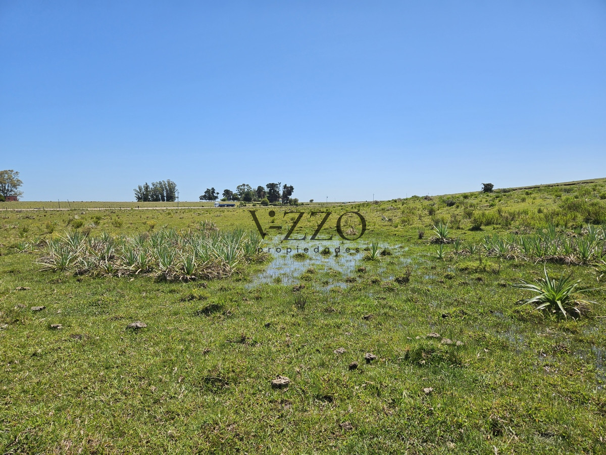 Chacra ID.641/Venta-de-13-hectáreas-a-10-minutos-del-Faro-de-José-Ignacio,-Punta-del-Este.- - Venta de 13 hectáreas a 10 minutos del Faro de José Ignacio, Punta del Este. 