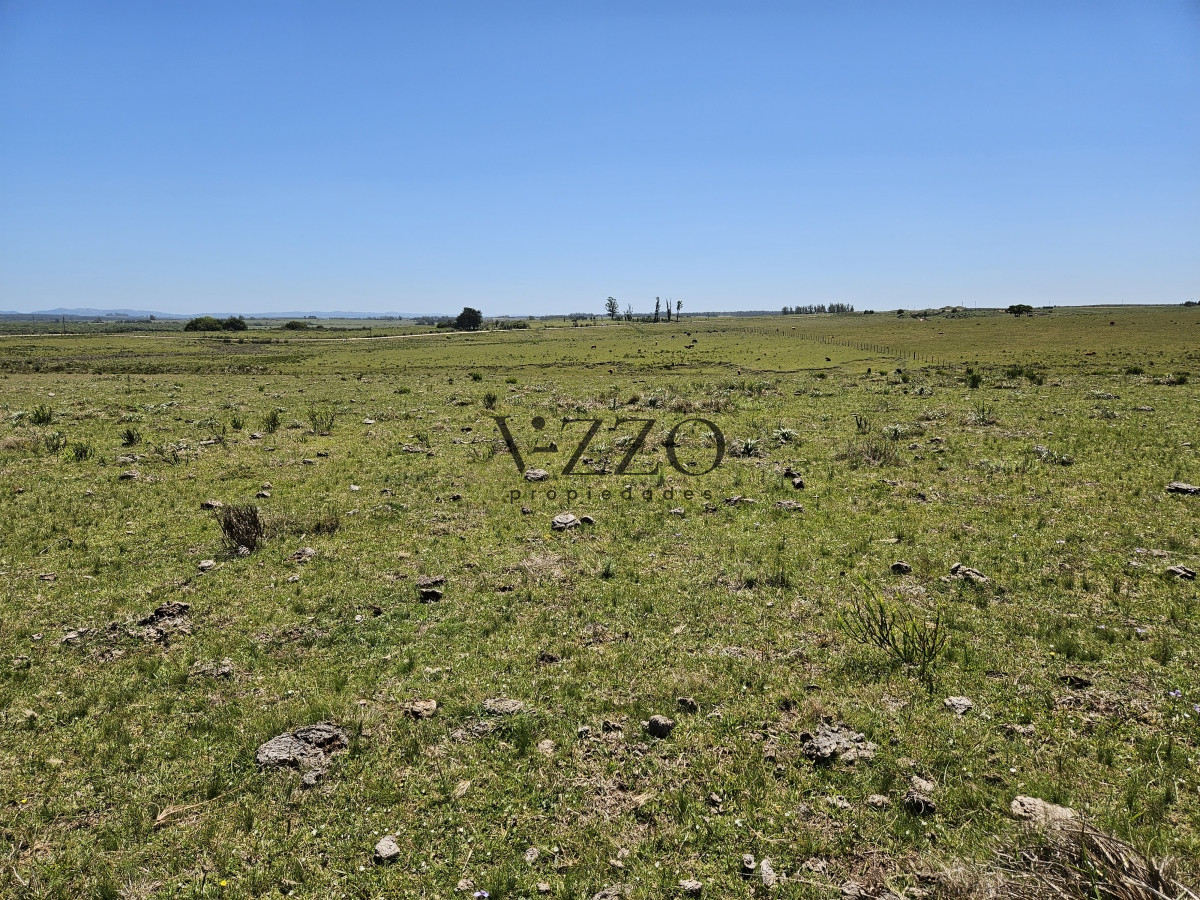 Chacra ID.641/Venta-de-13-hectáreas-a-10-minutos-del-Faro-de-José-Ignacio,-Punta-del-Este.- - Venta de 13 hectáreas a 10 minutos del Faro de José Ignacio, Punta del Este. 