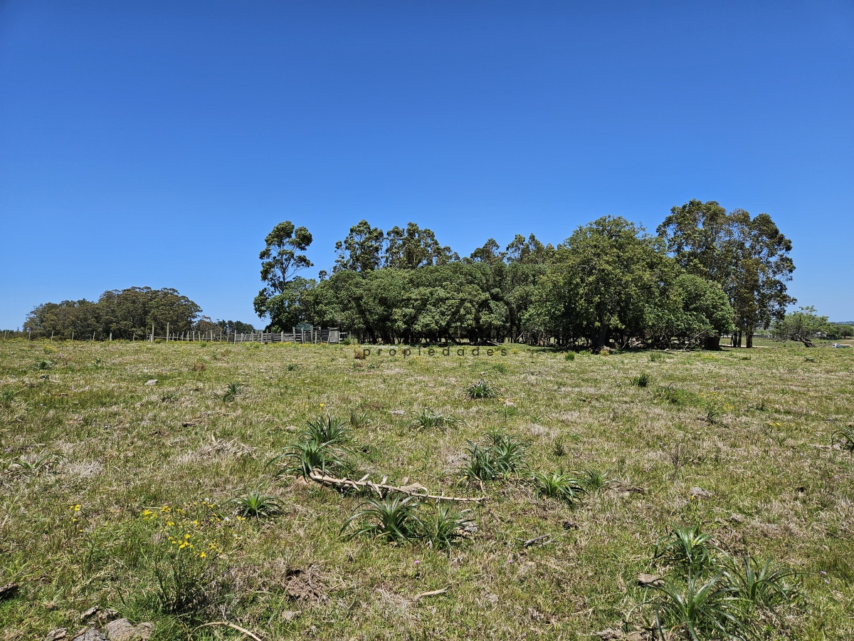 Chacra ID.641/Venta-de-13-hectáreas-a-10-minutos-del-Faro-de-José-Ignacio,-Punta-del-Este.- - Venta de 13 hectáreas a 10 minutos del Faro de José Ignacio, Punta del Este. 