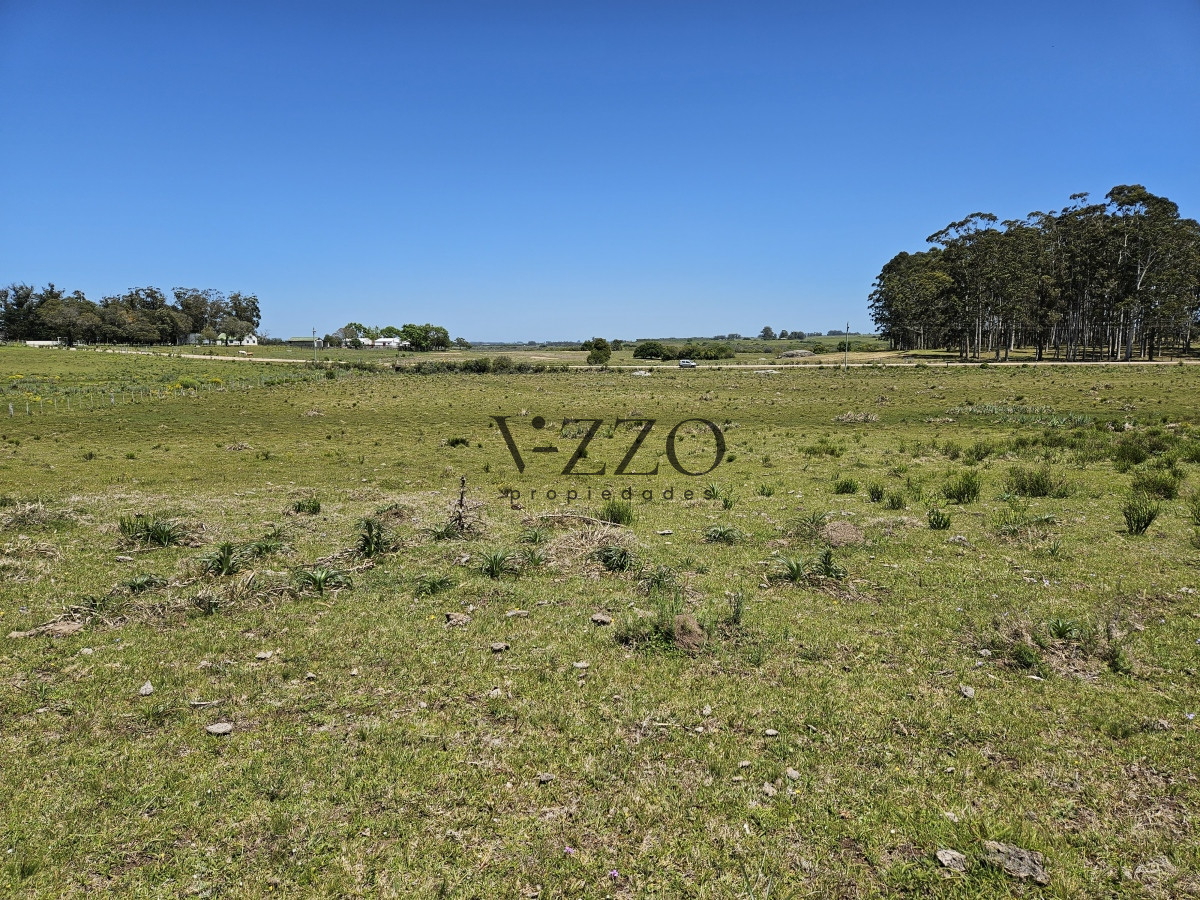 Chacra ID.641/Venta-de-13-hectáreas-a-10-minutos-del-Faro-de-José-Ignacio,-Punta-del-Este.- - Venta de 13 hectáreas a 10 minutos del Faro de José Ignacio, Punta del Este. 