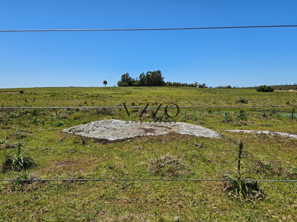 Chacra ID.641/Venta-de-13-hectáreas-a-10-minutos-del-Faro-de-José-Ignacio,-Punta-del-Este.- - Venta de 13 hectáreas a 10 minutos del Faro de José Ignacio, Punta del Este. 