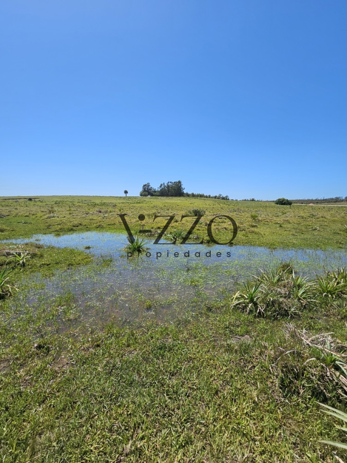 Chacra ID.641/Venta-de-13-hectáreas-a-10-minutos-del-Faro-de-José-Ignacio,-Punta-del-Este.- - Venta de 13 hectáreas a 10 minutos del Faro de José Ignacio, Punta del Este. 